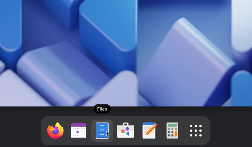 The Files app in the overview launcher.